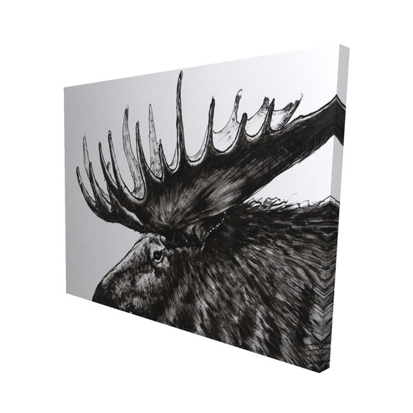 Fondo 16 x 20 in. Moose Plume-Print on Canvas - FO2791571