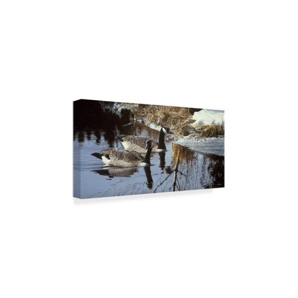 Trademark Fine Art Ron Parker 'Spring Arrivals Canada Geese' Canvas Art, 16x32 - ALI32341-C1632GG