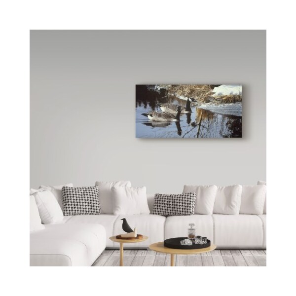 Trademark Fine Art Ron Parker 'Spring Arrivals Canada Geese' Canvas Art, 16x32 - ALI32341-C1632GG