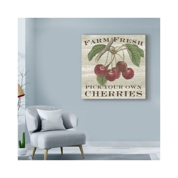 Trademark Fine Art Sue Schlabach 'Farm Fresh Cherries Square' Canvas Art, 18x18 - WAP08216-C1818GG