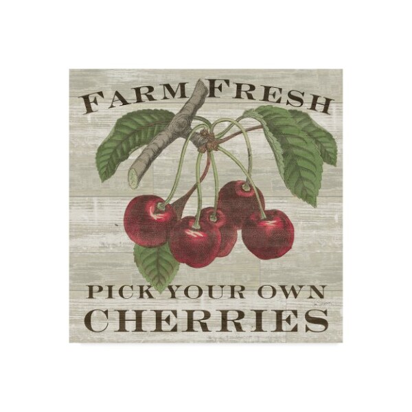 Trademark Fine Art Sue Schlabach 'Farm Fresh Cherries Square' Canvas Art, 18x18 - WAP08216-C1818GG