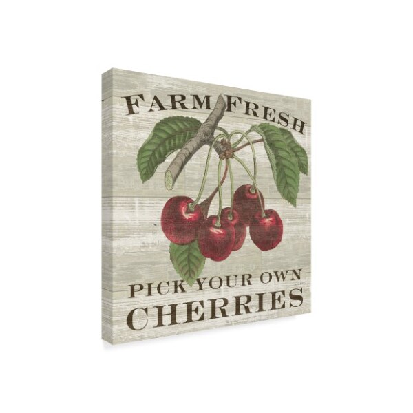 Trademark Fine Art Sue Schlabach 'Farm Fresh Cherries Square' Canvas Art, 18x18 - WAP08216-C1818GG