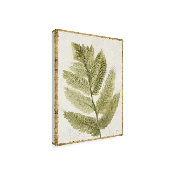 Trademark Fine Art Albena Hristova 'Forest Ferns I Antique' Canvas Art, 14x19 - WAP06210-C1419GG