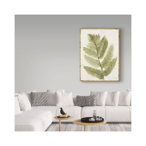 Trademark Fine Art Albena Hristova 'Forest Ferns I Antique' Canvas Art, 14x19 - WAP06210-C1419GG