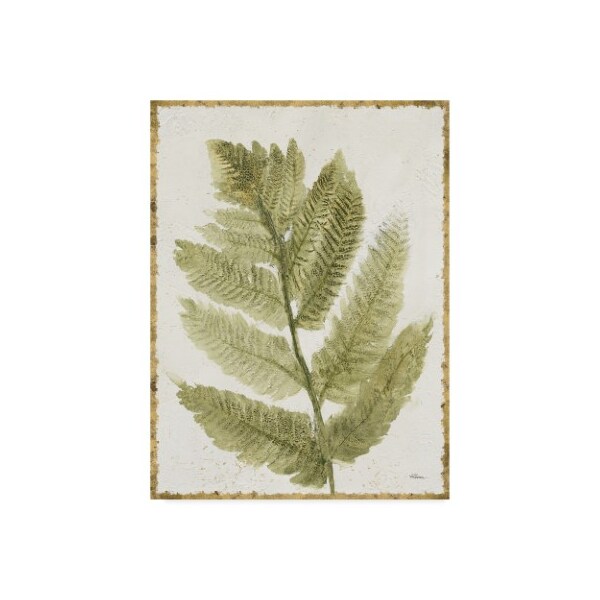 Trademark Fine Art Albena Hristova 'Forest Ferns I Antique' Canvas Art, 14x19 - WAP06210-C1419GG