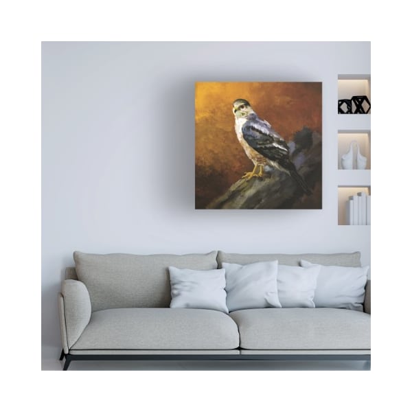 Trademark Fine Art Lois Bryan 'Coopers Hawk' Canvas Art, 35x35 - LBR00409-C3535GG