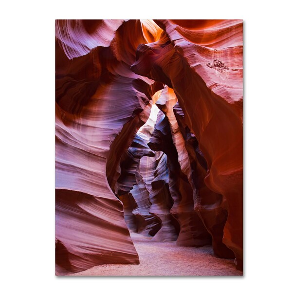 Trademark Fine Art Pierre Leclerc 'Antelope' Canvas Art, 22x32 - PL0006-C2232GG