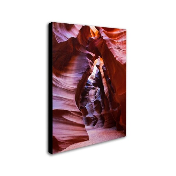 Trademark Fine Art Pierre Leclerc 'Antelope' Canvas Art, 22x32 - PL0006-C2232GG