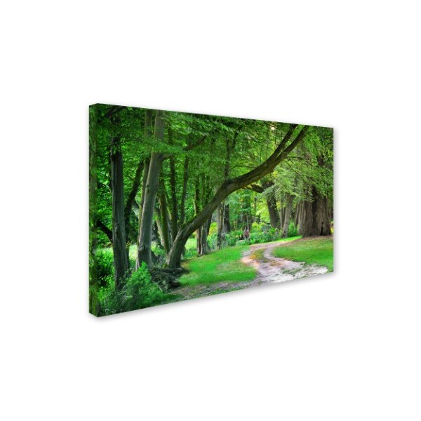 Trademark Fine Art Philippe Sainte-Laudy 'Intimate Landscape' Canvas Art, 16x24 - PSL0309-C1624GG