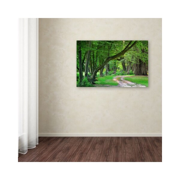 Trademark Fine Art Philippe Sainte-Laudy 'Intimate Landscape' Canvas Art, 16x24 - PSL0309-C1624GG