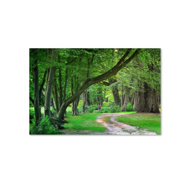 Trademark Fine Art Philippe Sainte-Laudy 'Intimate Landscape' Canvas Art, 16x24 - PSL0309-C1624GG