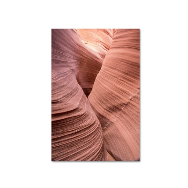 Trademark Fine Art Moises Levy 'Spiral V' Canvas Art, 12x19 - ALI1137-C1219GG