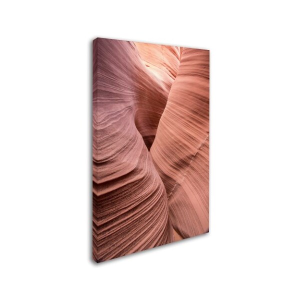 Trademark Fine Art Moises Levy 'Spiral V' Canvas Art, 12x19 - ALI1137-C1219GG