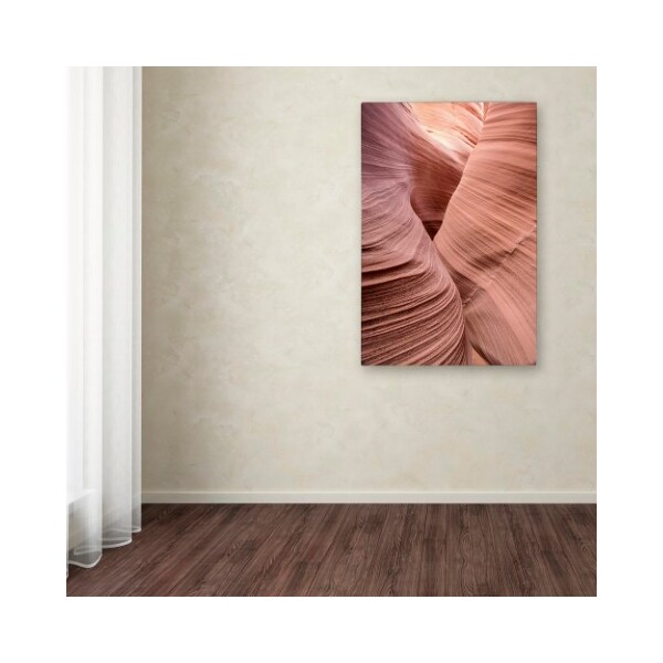Trademark Fine Art Moises Levy 'Spiral V' Canvas Art, 12x19 - ALI1137-C1219GG