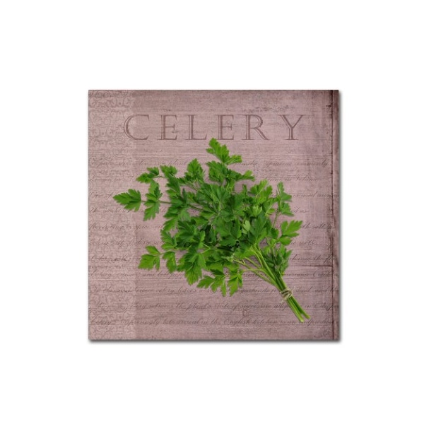 Trademark Fine Art Cora Niele 'Classic Herbs Celery' Canvas Art, 14x14 - ALI16530-C1414GG