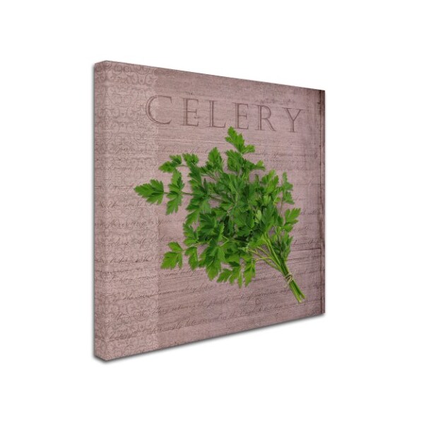 Trademark Fine Art Cora Niele 'Classic Herbs Celery' Canvas Art, 14x14 - ALI16530-C1414GG