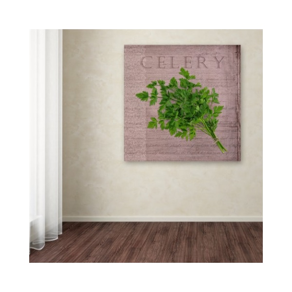 Trademark Fine Art Cora Niele 'Classic Herbs Celery' Canvas Art, 14x14 - ALI16530-C1414GG