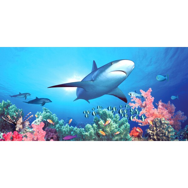 Biggies Scenes Wall Murals-Shark Reef, 54 in wide x 27 in high - BG-WM-SRF-54