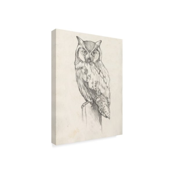 Trademark Fine Art Jennifer Goldberger 'Owl Portrait Ii' Canvas Art, 18x24 - WAG08196-C1824GG