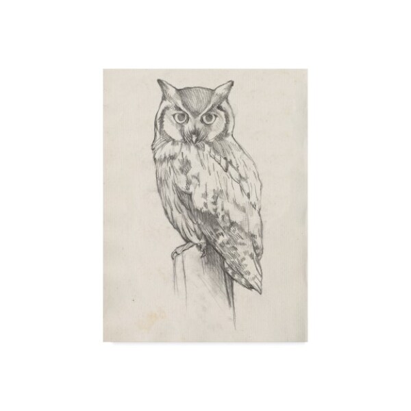 Trademark Fine Art Jennifer Goldberger 'Owl Portrait Ii' Canvas Art, 18x24 - WAG08196-C1824GG
