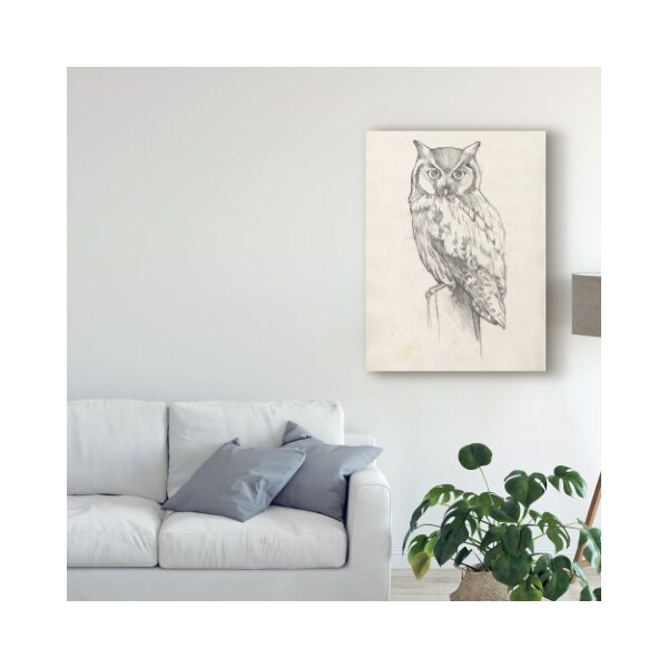 Trademark Fine Art Jennifer Goldberger 'Owl Portrait Ii' Canvas Art, 18x24 - WAG08196-C1824GG