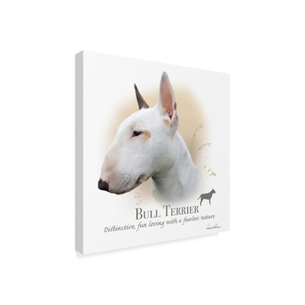 Trademark Fine Art Howard Robinson 'Bull Terrier' Canvas Art, 24x24 - ALI24042-C2424GG