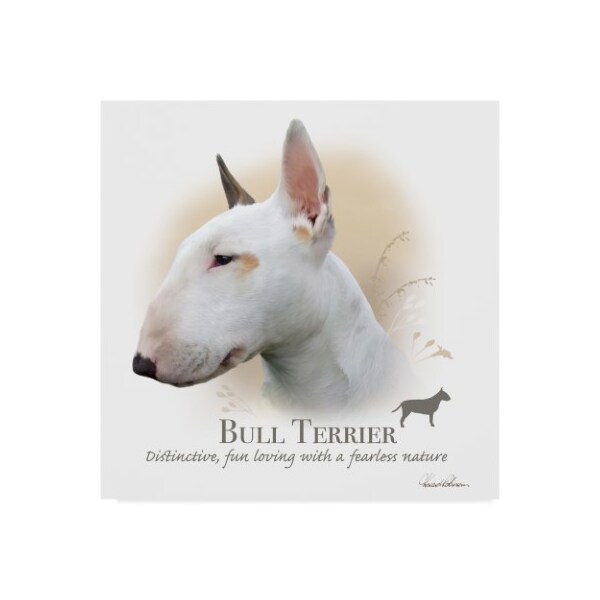 Trademark Fine Art Howard Robinson 'Bull Terrier' Canvas Art, 24x24 - ALI24042-C2424GG