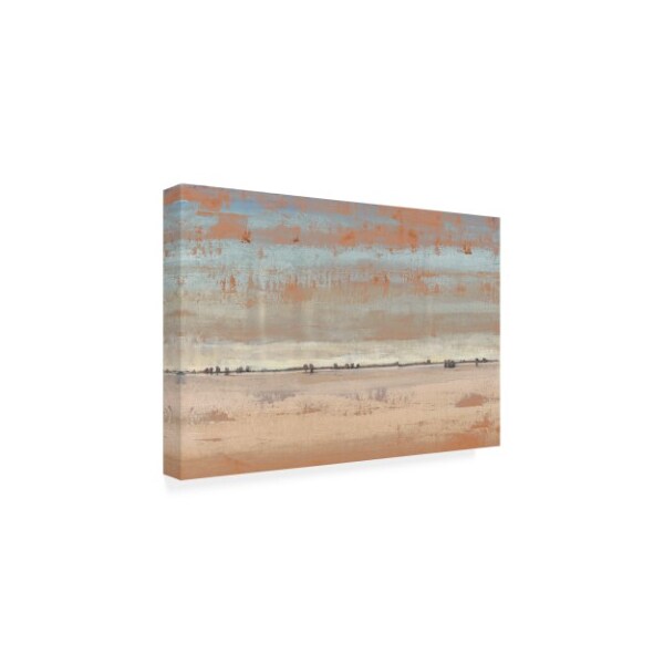 Trademark Fine Art Tim Otoole 'Southwest Vista I' Canvas Art, 16x24 - WAG11289-C1624GG