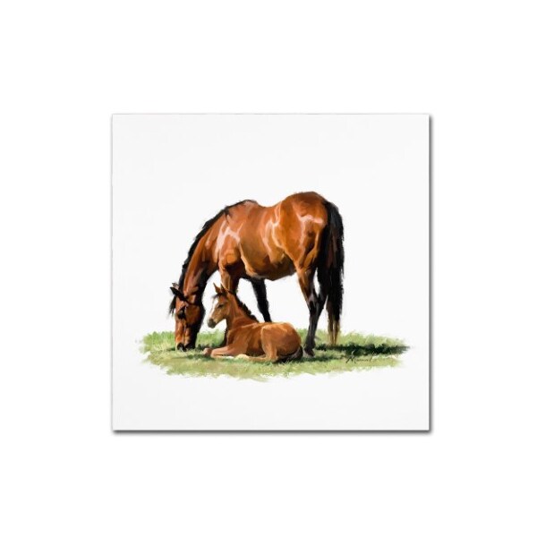Trademark Fine Art The Macneil Studio 'Horse With Foal' Canvas Art, 24x24 - ALI8685-C2424GG