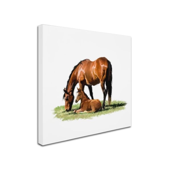 Trademark Fine Art The Macneil Studio 'Horse With Foal' Canvas Art, 24x24 - ALI8685-C2424GG