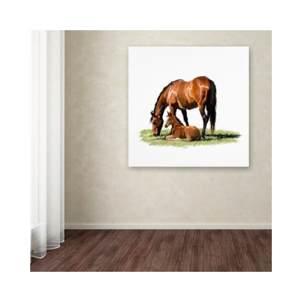 Trademark Fine Art The Macneil Studio 'Horse With Foal' Canvas Art, 24x24 - ALI8685-C2424GG