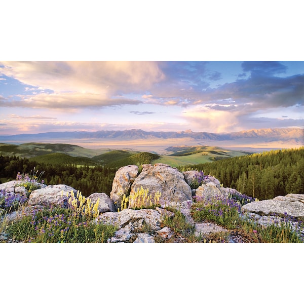 Biggies Scenes Window Well Scenes-Sunrise, 120 in wide x 60 in high - BG-WW-SRS-120