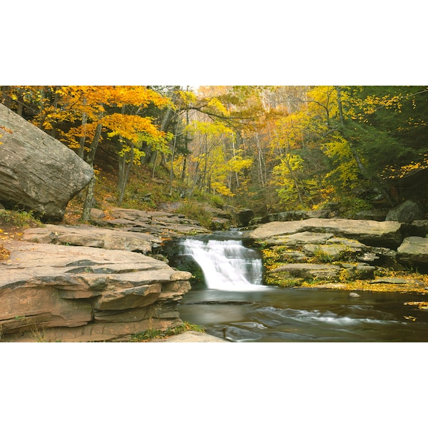 Biggies Scenes Window Well Scenes-Stream, 120 in wide x 60 in high - BG-WW-STM-120