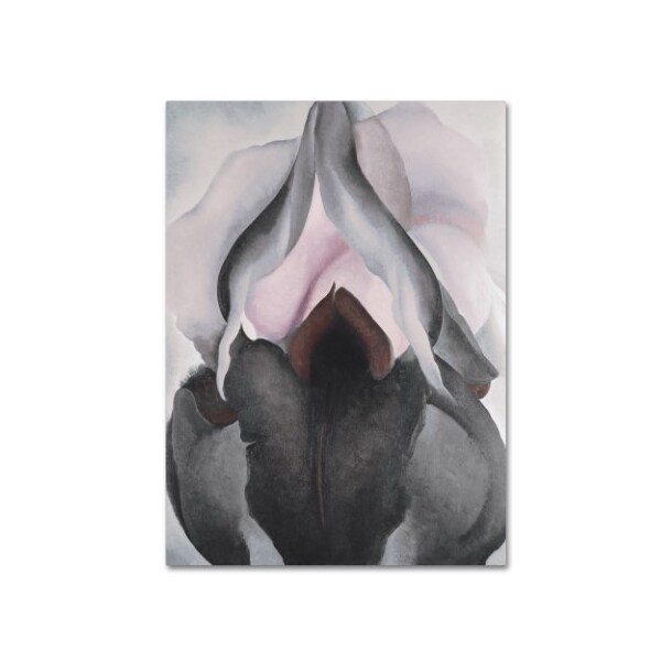 Trademark Fine Art Georgia O'Keefe 'Black Iris' Canvas Art, 14x19 - ALI10075-C1419GG