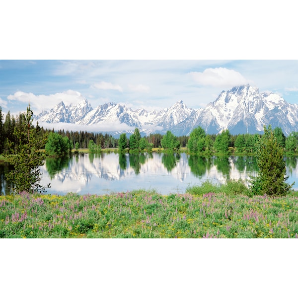 Biggies Scenes Window Well Scenes-Mountain Flowers, 100 in wide x 60 in high - BG-WW-MFW-100