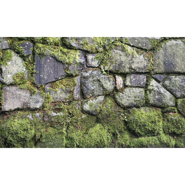 Biggies Scenes Window Well Scenes-Moss, 120 in wide x 60 in high - BG-WW-MOS-120