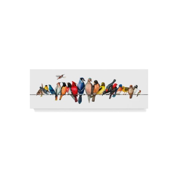 Trademark Fine Art Wendy Russell 'Large Bird Menagerie Ii' Canvas Art, 6x19 - WAG02571-C619GG