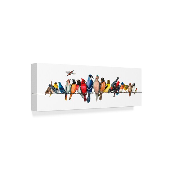 Trademark Fine Art Wendy Russell 'Large Bird Menagerie Ii' Canvas Art, 6x19 - WAG02571-C619GG