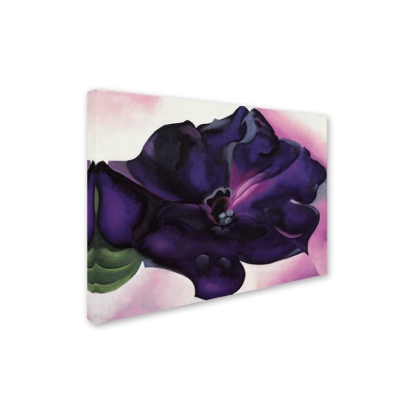Trademark Fine Art Georgia O'Keefe 'Petunia' Canvas Art, 24x32 - ALI10054-C2432GG