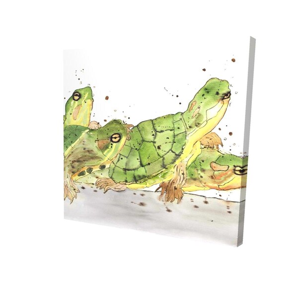 Fondo 32 x 32 in. Small Aquatic Turtles-Print on Canvas - FO3337564