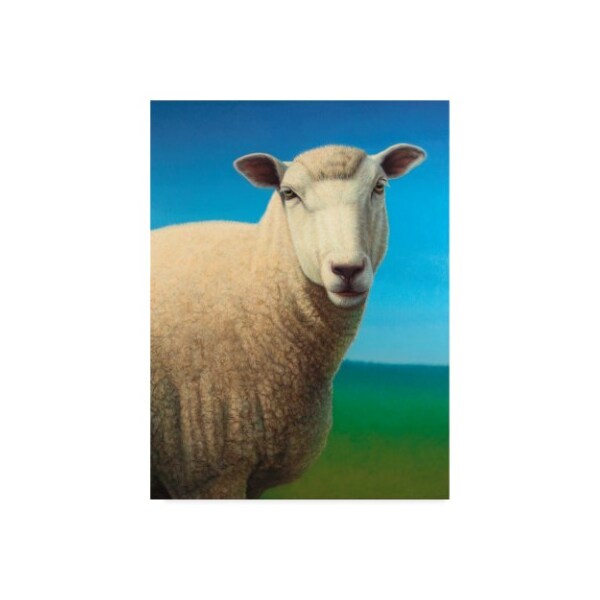 Trademark Fine Art James W. Johnson 'Sheep' Canvas Art, 35x47 - ALI36263-C3547GG