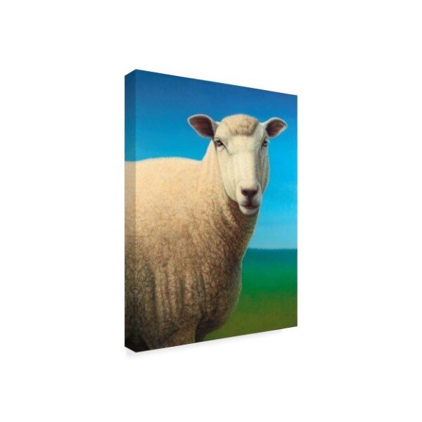 Trademark Fine Art James W. Johnson 'Sheep' Canvas Art, 35x47 - ALI36263-C3547GG