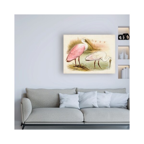 Trademark Fine Art Unknown 'Roseate Spoonbills I' Canvas Art, 35x47 - WAG16469-C3547GG