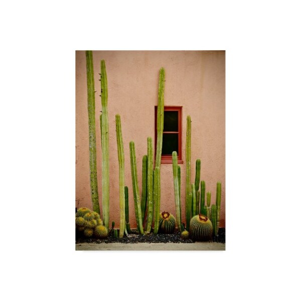 Trademark Fine Art American School 'Adobe Cactus' Canvas Art, 35x47 - BL02555-C3547GG