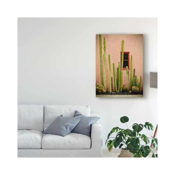 Trademark Fine Art American School 'Adobe Cactus' Canvas Art, 35x47 - BL02555-C3547GG