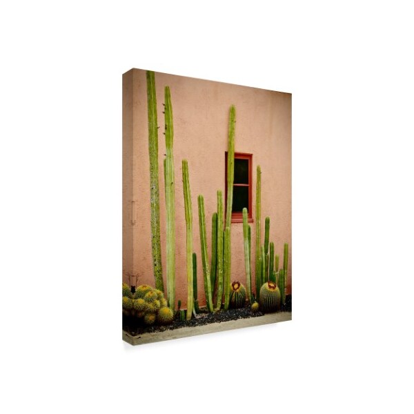 Trademark Fine Art American School 'Adobe Cactus' Canvas Art, 35x47 - BL02555-C3547GG