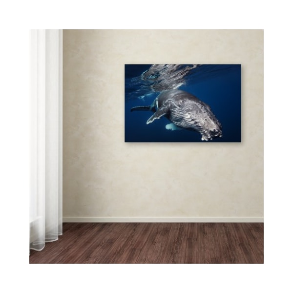 Trademark Fine Art Barathieu Gabriel 'Humpback Whale' Canvas Art, 30x47 - 1X03106-C3047GG