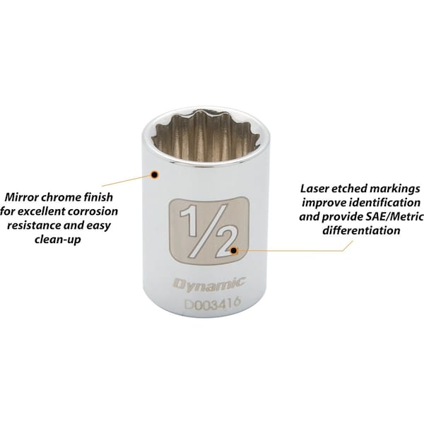 Dynamic Tools 1/4" Drive 12 Point SAE, 3/16" Standard Length, Chrome Socket - D003404