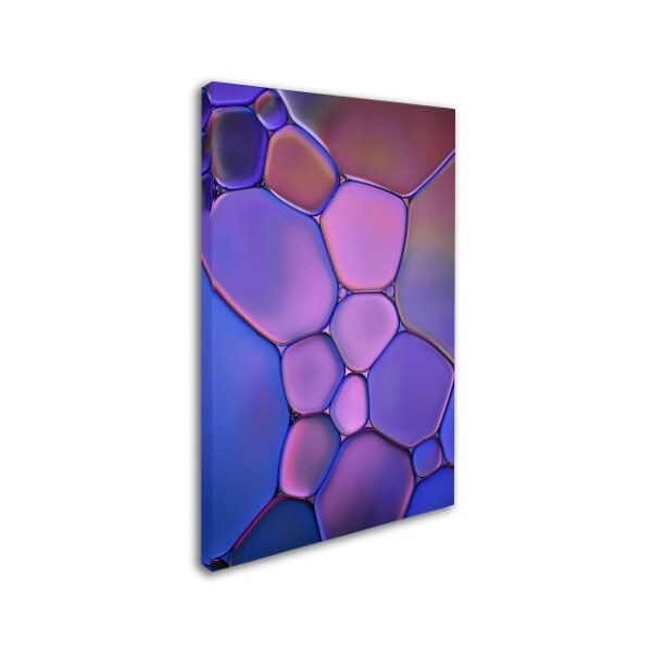 Trademark Fine Art Cora Niele 'Purple Stained Glass' Canvas Art, 22x32 - ALI1728-C2232GG