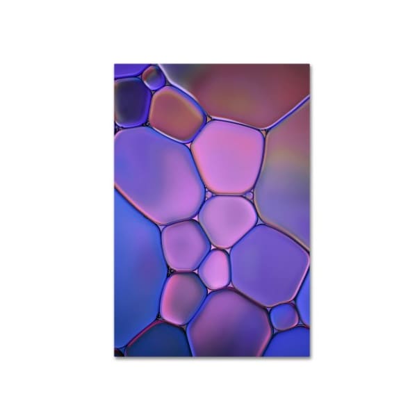 Trademark Fine Art Cora Niele 'Purple Stained Glass' Canvas Art, 22x32 - ALI1728-C2232GG